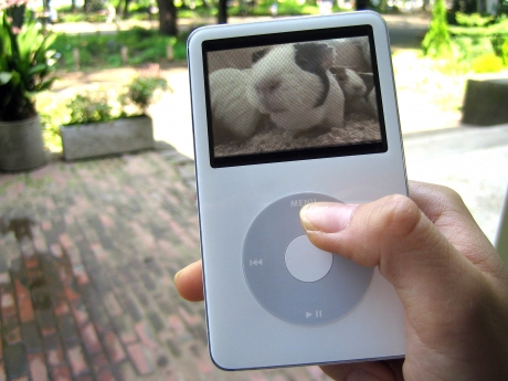 ���Ƭ����ʸ���ࡢ��iPod�׸��̤�GW������Կ����å�